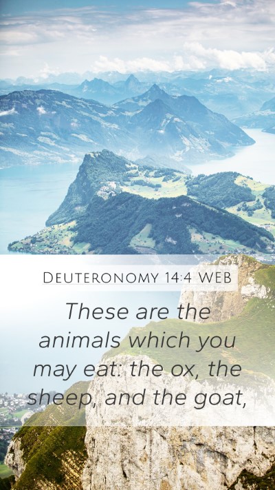 Deuteronomy 14:4 WEB Mobile Phone Wallpaper - These are the animals which you may eat: the ox, - Mobile Bible Verse Wallpaper