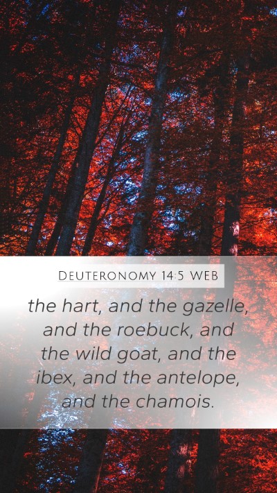 Deuteronomy 14:5 WEB Bible Verse Image