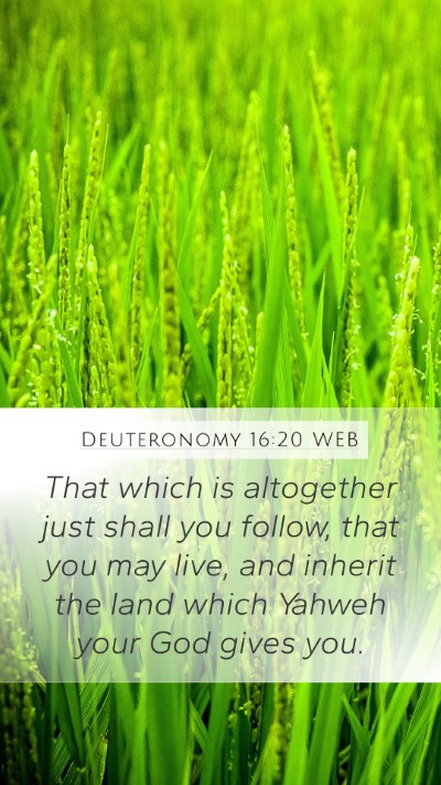 Deuteronomy 16:20 WEB Mobile Phone Wallpaper - That which is altogether just shall you follow, - Mobile Bible Verse Wallpaper