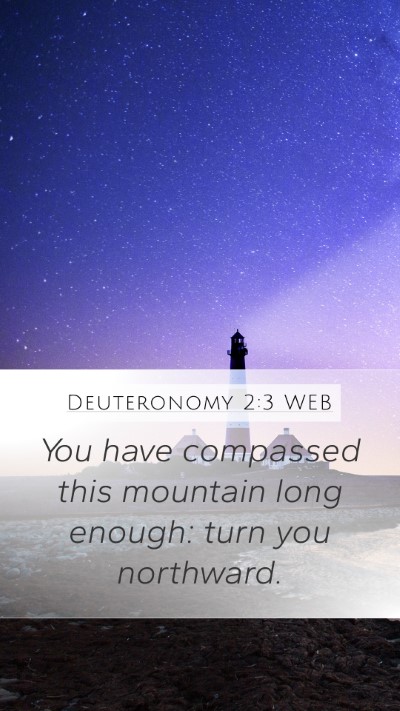 Deuteronomy 2:3 WEB Bible Verse Image