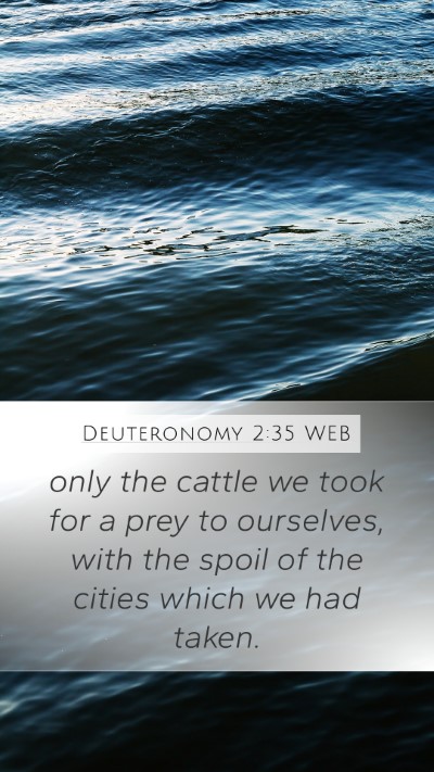 Deuteronomy 2:35 WEB Bible Verse Image