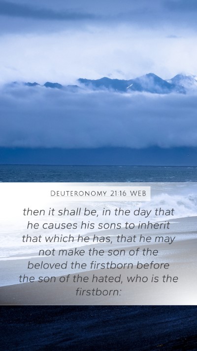 Deuteronomy 21:16 WEB Bible Verse Image