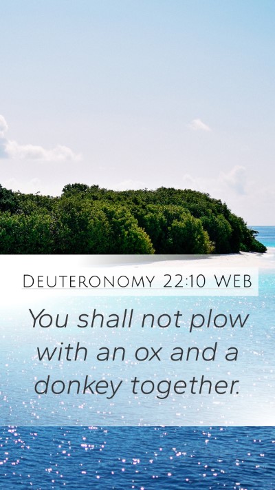 Deuteronomy 22:10 WEB Mobile Phone Wallpaper - You shall not plow with an ox and a donkey - Mobile Bible Verse Wallpaper