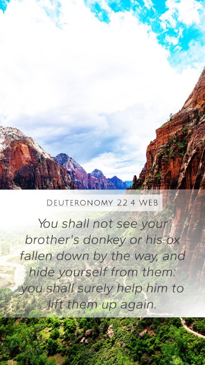 Deuteronomy 22:4 WEB Bible Verse Image
