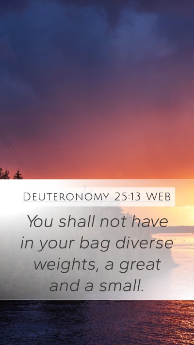Deuteronomy 25:13 WEB Bible Verse Image