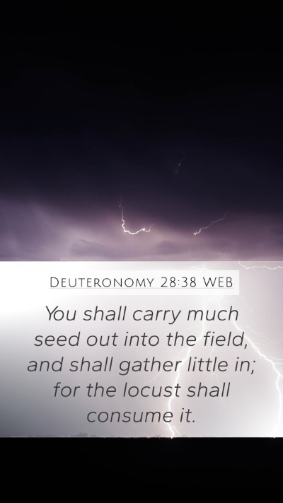 Deuteronomy 28:38 WEB Bible Verse Image