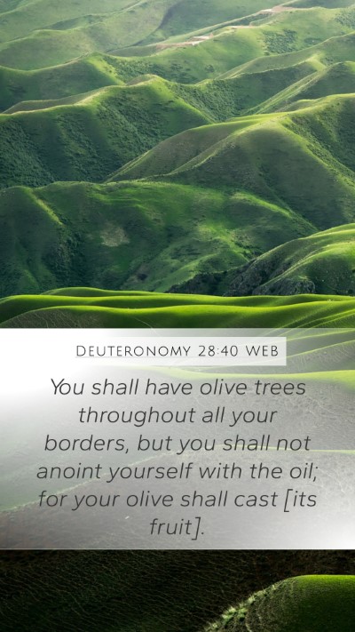 Deuteronomy 28:40 WEB Mobile Phone Wallpaper - You shall have olive trees throughout all your - Mobile Bible Verse Wallpaper