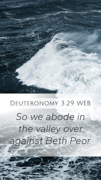 Deuteronomy 3:29 WEB Mobile Phone Wallpaper - So we abode in the valley over against Beth - Mobile Bible Verse Wallpaper