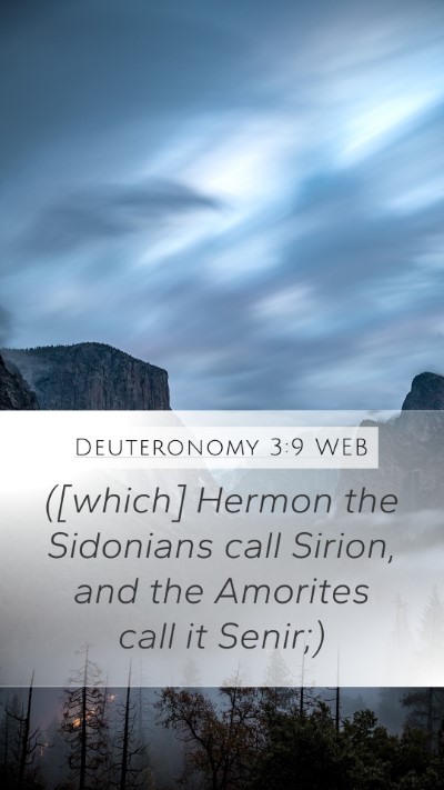 Deuteronomy 3:9 WEB Bible Verse Image