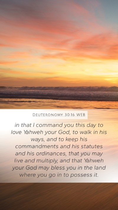 Deuteronomy 30:16 WEB Bible Verse Image