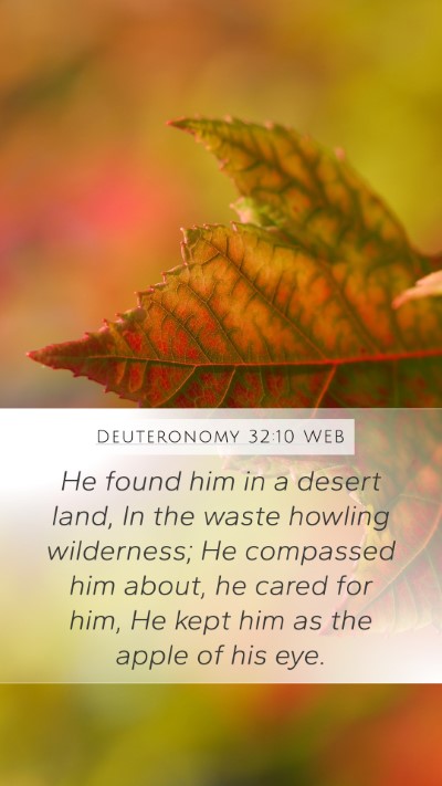 Deuteronomy 32:10 WEB Bible Verse Image