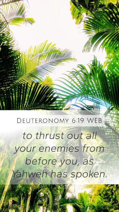 Deuteronomy 6:19 WEB Mobile Phone Wallpaper - to thrust out all your enemies from before you, - Mobile Bible Verse Wallpaper