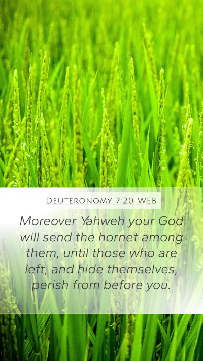 Deuteronomy 7:20 WEB Bible Verse Image