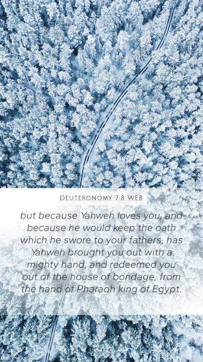 Deuteronomy 7:8 WEB Bible Verse Image