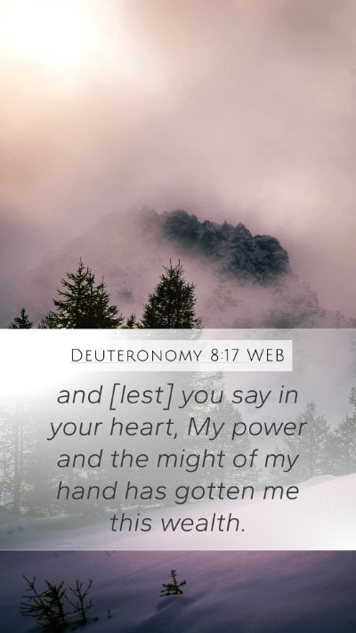 Deuteronomy 8:17 WEB Bible Verse Image