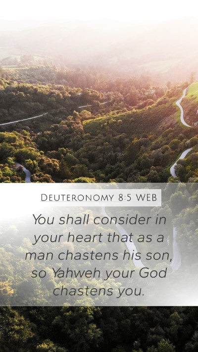 Deuteronomy 8:5 WEB Bible Verse Image