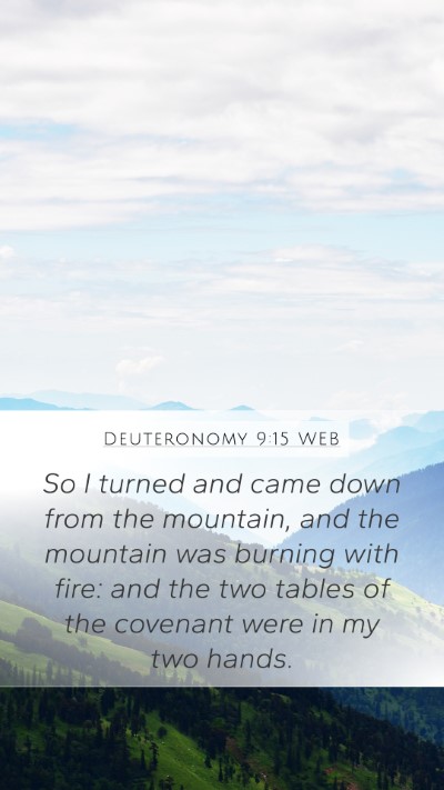 Deuteronomy 9:15 WEB Bible Verse Image