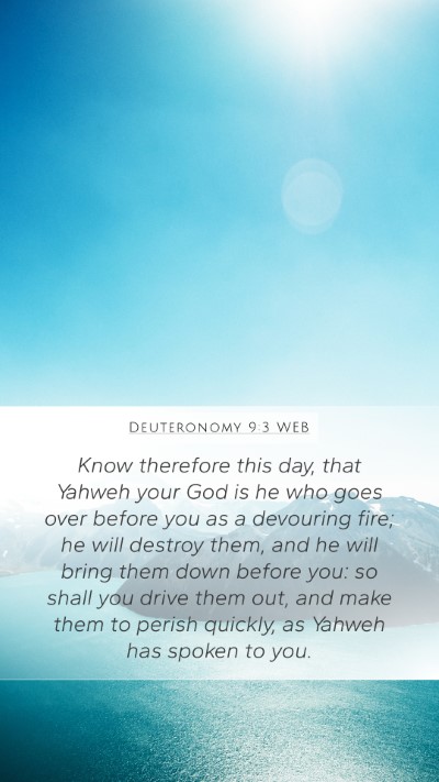 Deuteronomy 9:3 WEB Bible Verse Image