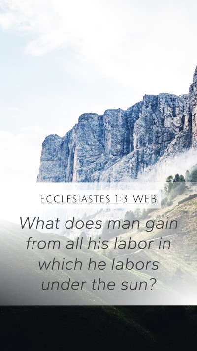 Ecclesiastes 1:3 WEB Bible Verse Image
