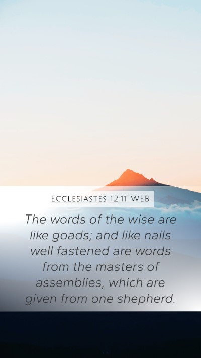Ecclesiastes 12:11 WEB Mobile Phone Wallpaper - The words of the wise are like goads; and like - Mobile Bible Verse Wallpaper