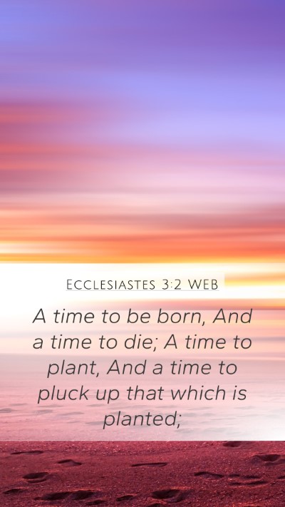 Ecclesiastes 3:2 WEB Mobile Phone Wallpaper - A time to be born, And a time to die; A time to - Mobile Bible Verse Wallpaper