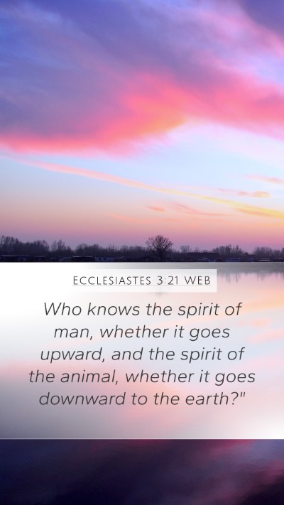 Ecclesiastes 3:21 WEB Bible Verse Image