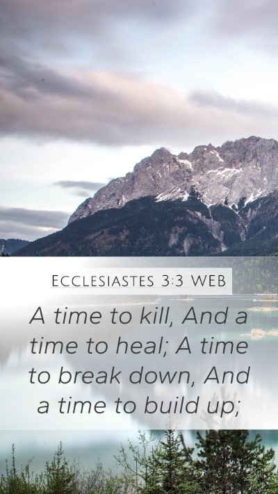 Ecclesiastes 3:3 WEB Mobile Phone Wallpaper - A time to kill, And a time to heal; A time to - Mobile Bible Verse Wallpaper