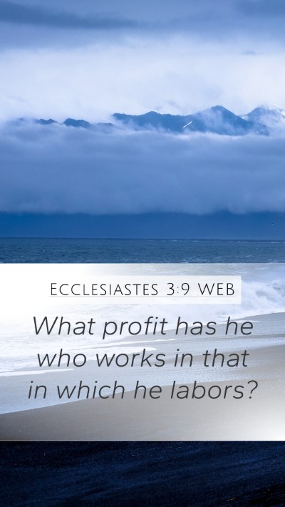 Ecclesiastes 3:9 WEB Bible Verse Image