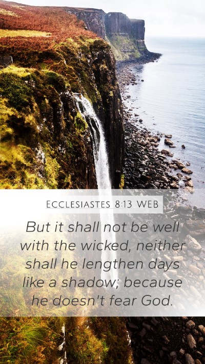 Ecclesiastes 8:13 WEB Bible Verse Image