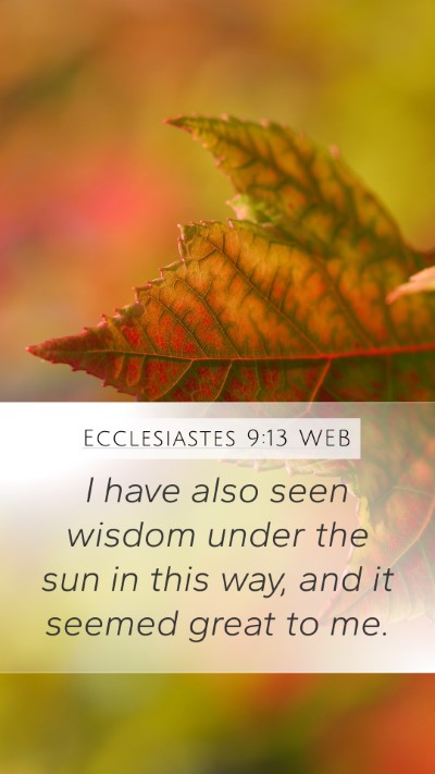 Ecclesiastes 9:13 WEB Bible Verse Image