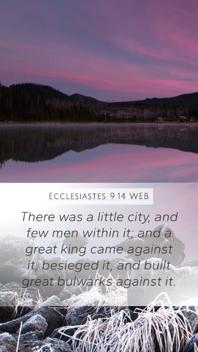 Ecclesiastes 9:14 WEB Bible Verse Image