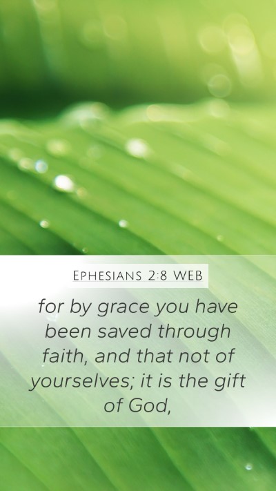 Ephesians 2:8 WEB Bible Verse Image