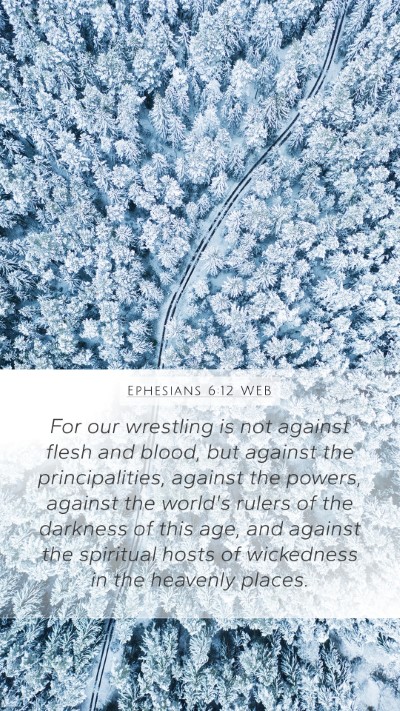 Ephesians 6:12 WEB Bible Verse Image
