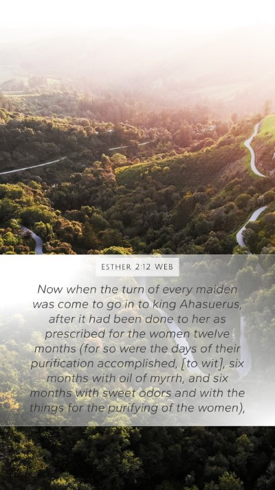 Esther 2:12 WEB Bible Verse Image