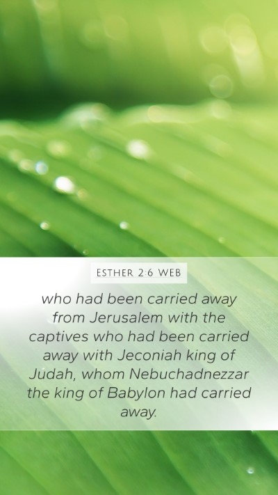 Esther 2:6 WEB Bible Verse Image