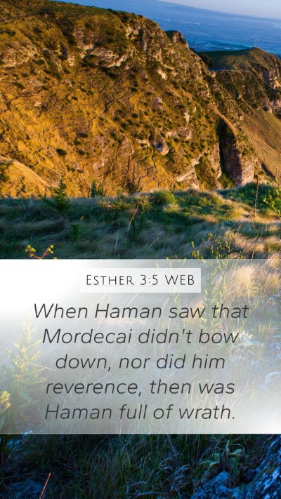 Esther 3:5 WEB Bible Verse Image