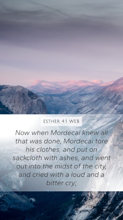 Esther 4:1 WEB Bible Verse Image