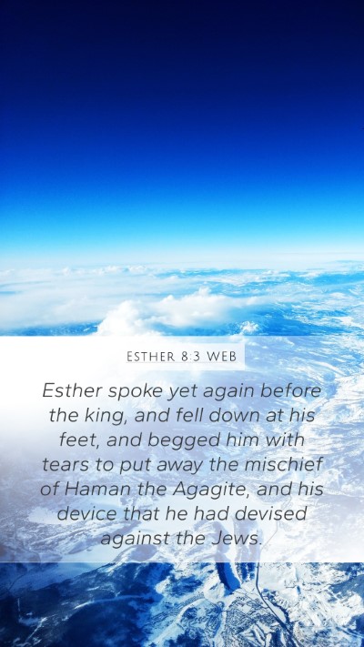 Esther 8:3 WEB Bible Verse Image
