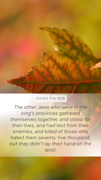 Esther 9:16 WEB Bible Verse Image