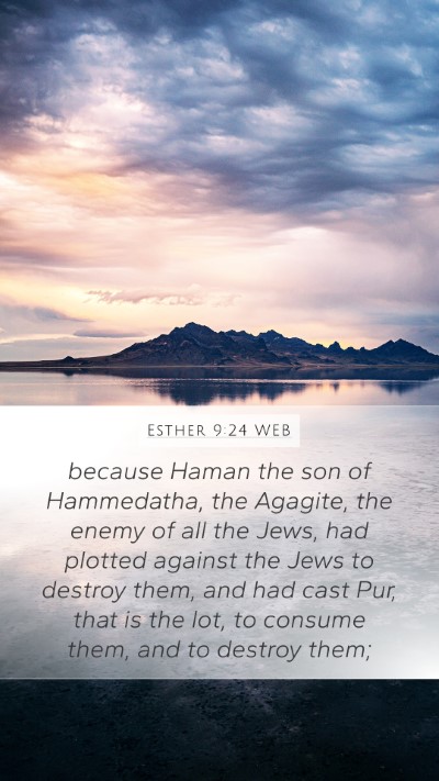 Esther 9:24 WEB Bible Verse Image