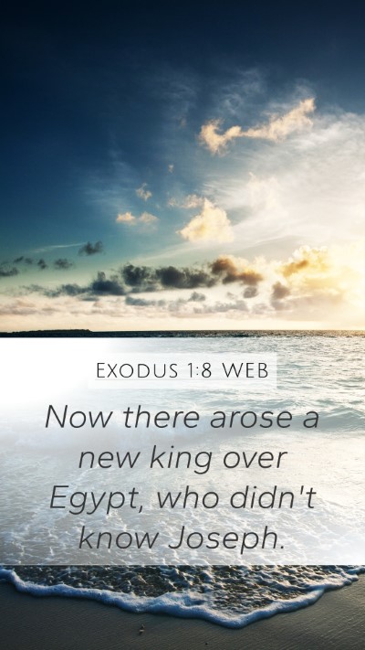 Exodus 1:8 WEB Bible Verse Image
