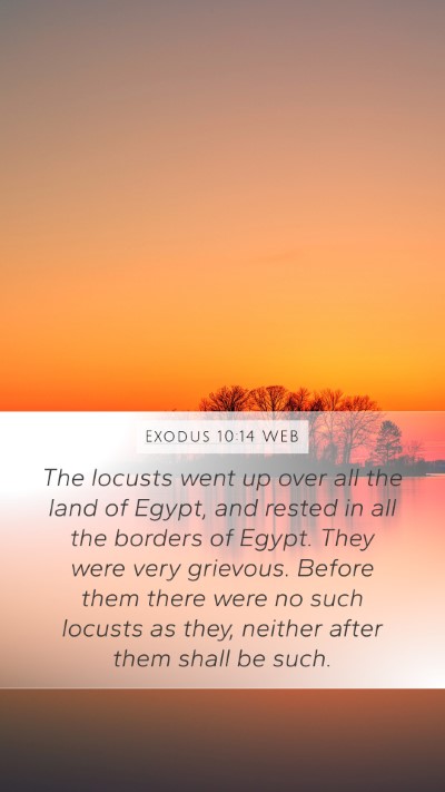 Exodus 10:14 WEB Bible Verse Image