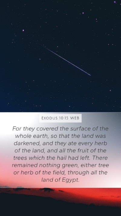 Exodus 10:15 WEB Bible Verse Image