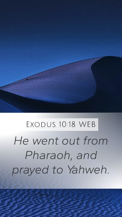 Exodus 10:18 WEB Bible Verse Image
