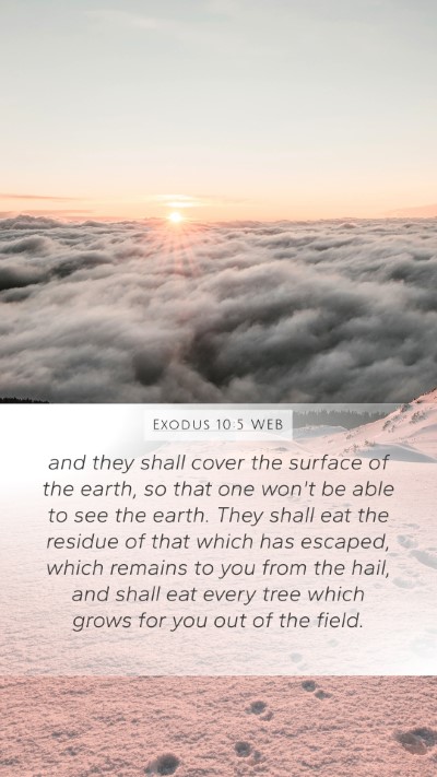 Exodus 10:5 WEB Bible Verse Image