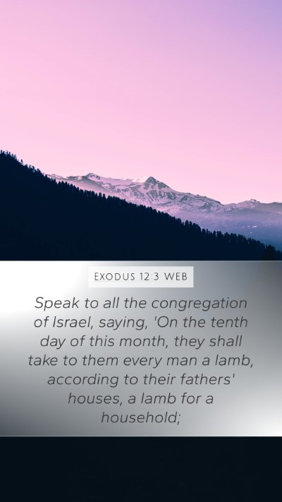 Exodus 12:3 WEB Bible Verse Image