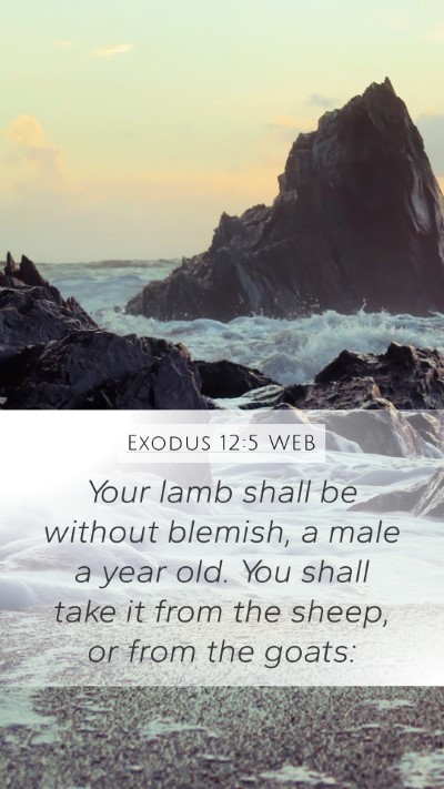 Exodus 12:5 WEB Bible Verse Image
