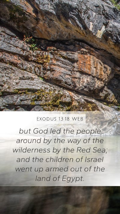 Exodus 13:18 WEB Bible Verse Image