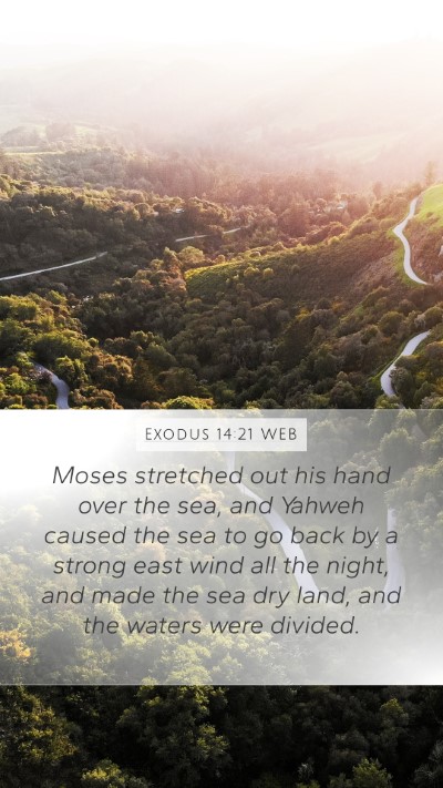 Exodus 14:21 WEB Bible Verse Image