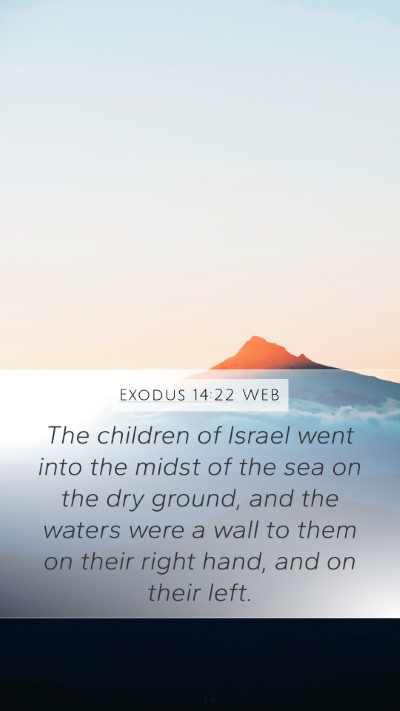 Exodus 14:22 WEB Bible Verse Image